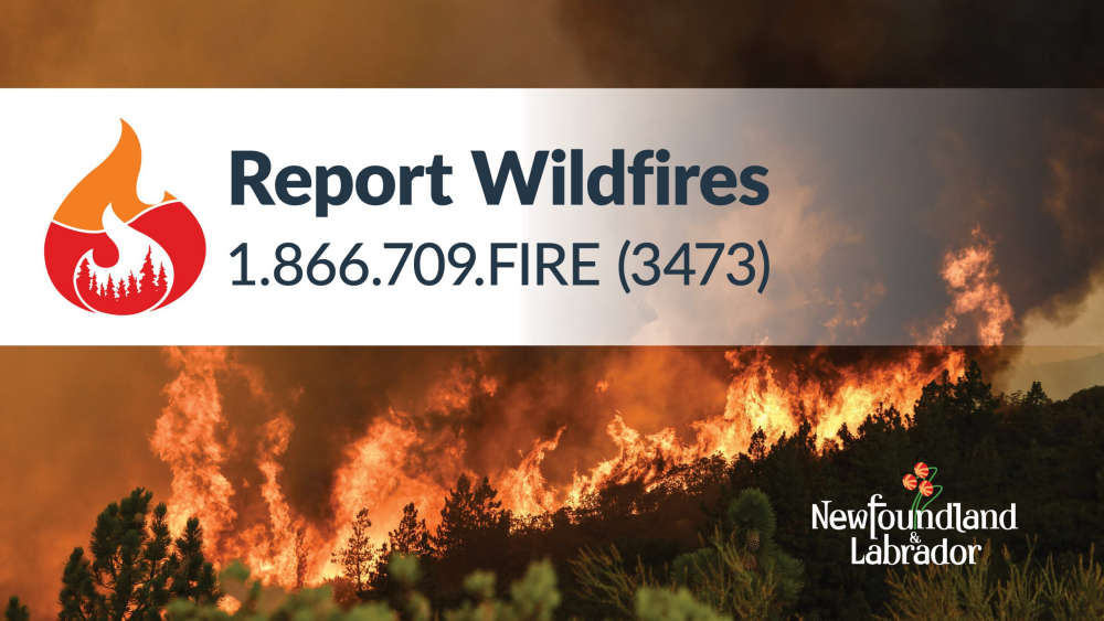 A new dashboard about forest fires - 100.1 BayFM