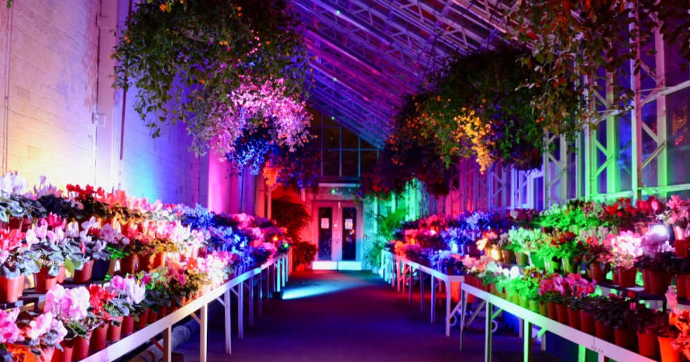 Take in the dazzling lights of Friends of Duthie Park's new Winter, Wonder, Wander - Vimarsana News