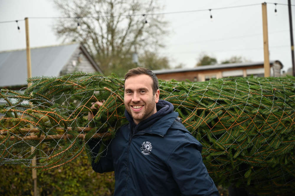 Herefordshire hospice launches annual Christmas Tree Collection Service