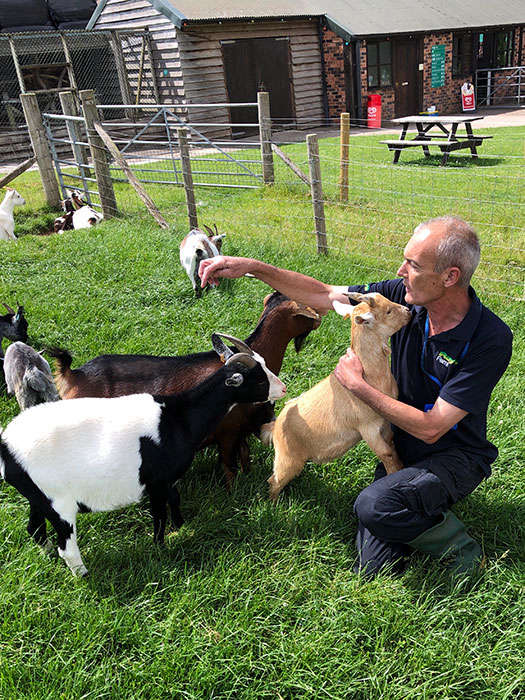 Popular Rays Farm announces permanent closure Sunshine Radio