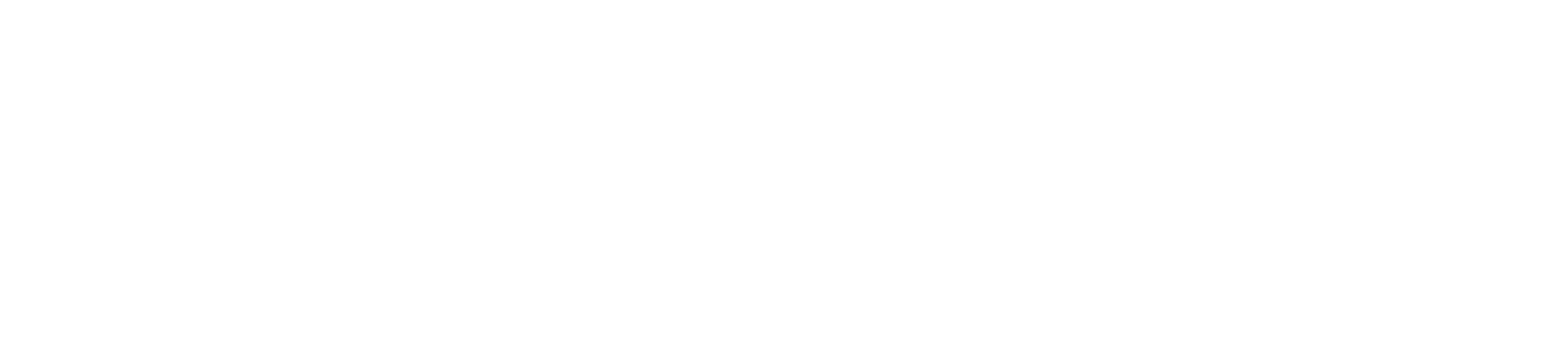 106.3 NBZ-FM Logo