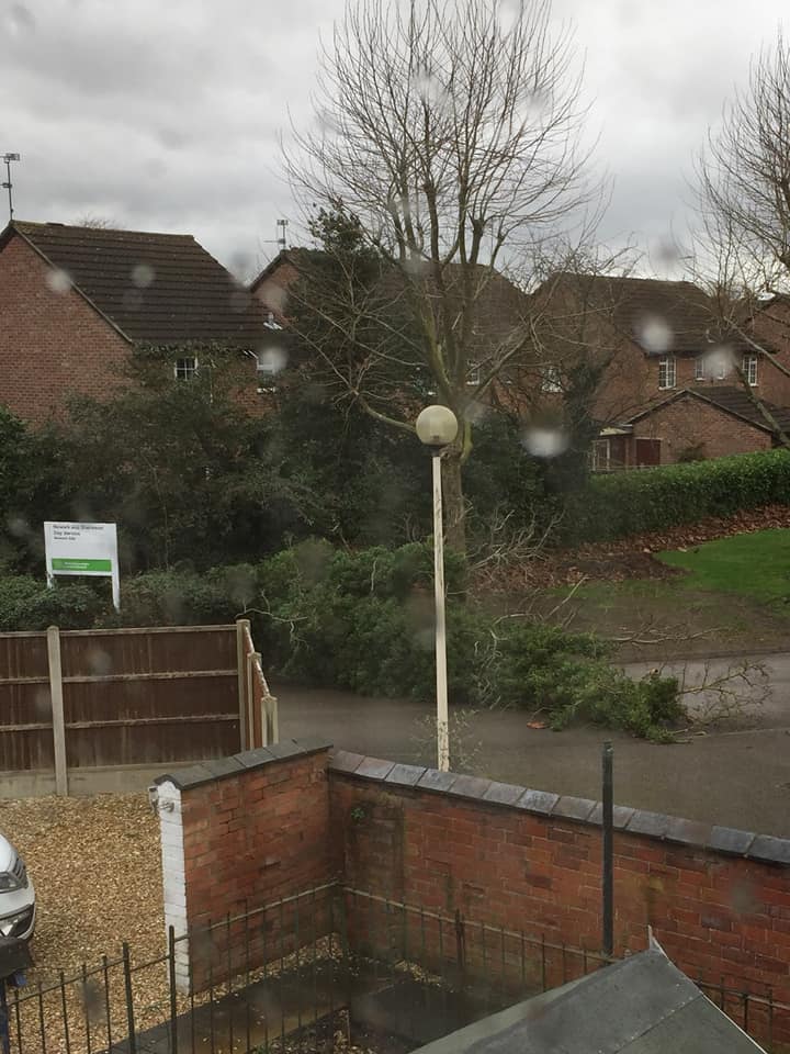 A fallen tree blocks the carpark at Woods Court, Newark.