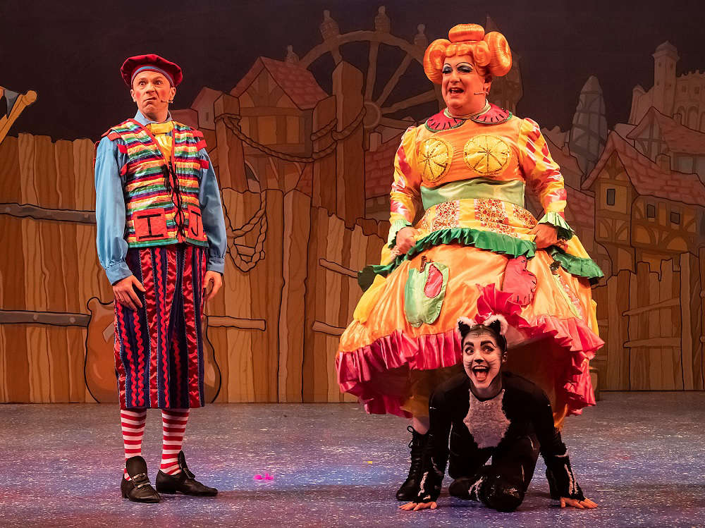 Panto Proves To Be Purr-fect Festive Treat - Radio Newark