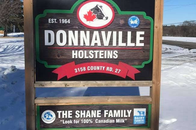 072825 Donnaville Holsteins