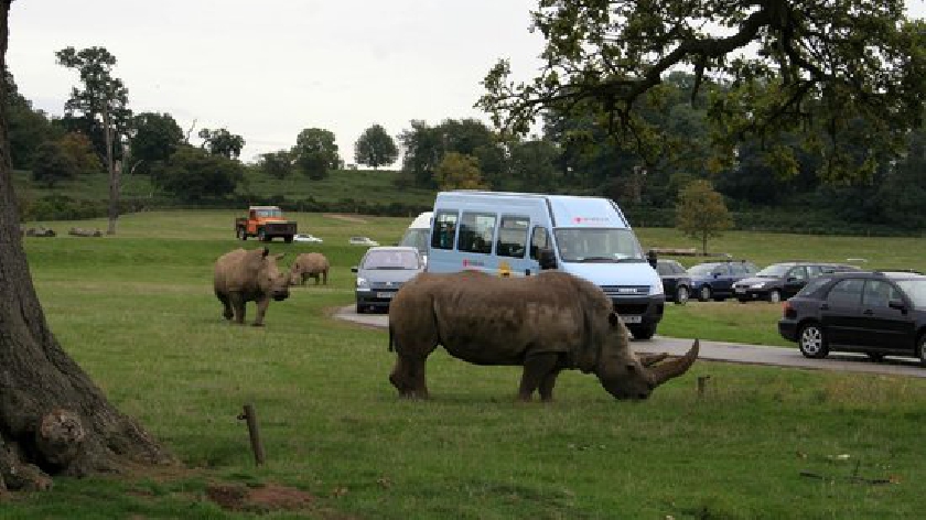 is woburn safari park open all year