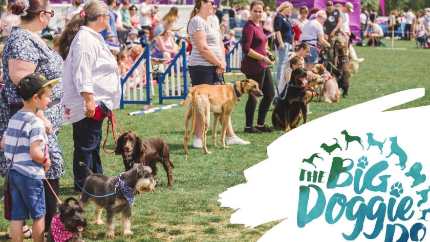 Milton Keynes dog-lovers invited to 'Big Doggie Do' this September - MKFM 106.3FM - Radio Made