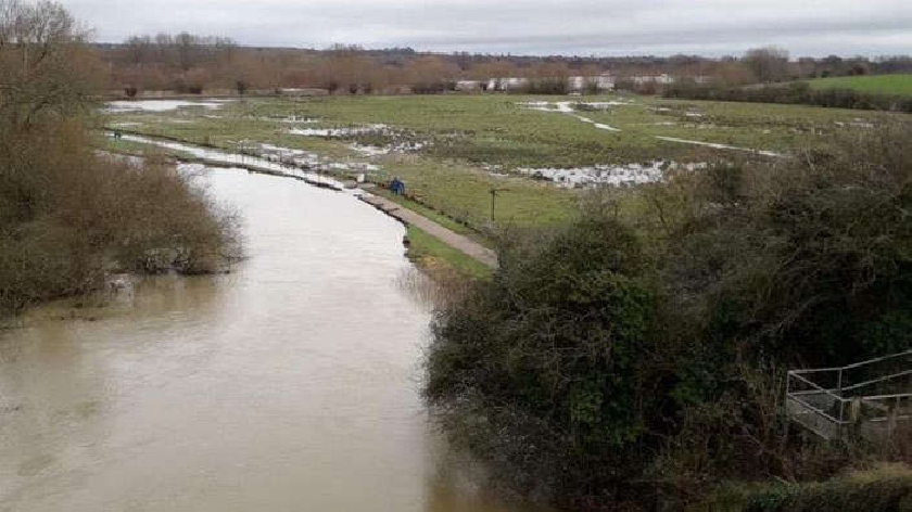 river bank