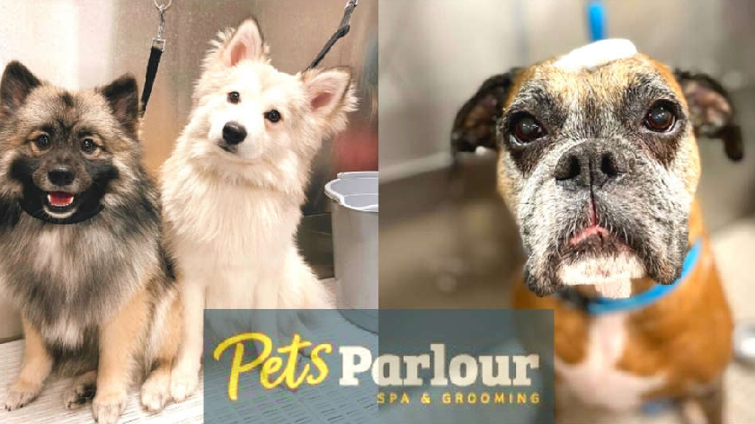 pets parlour spa and grooming