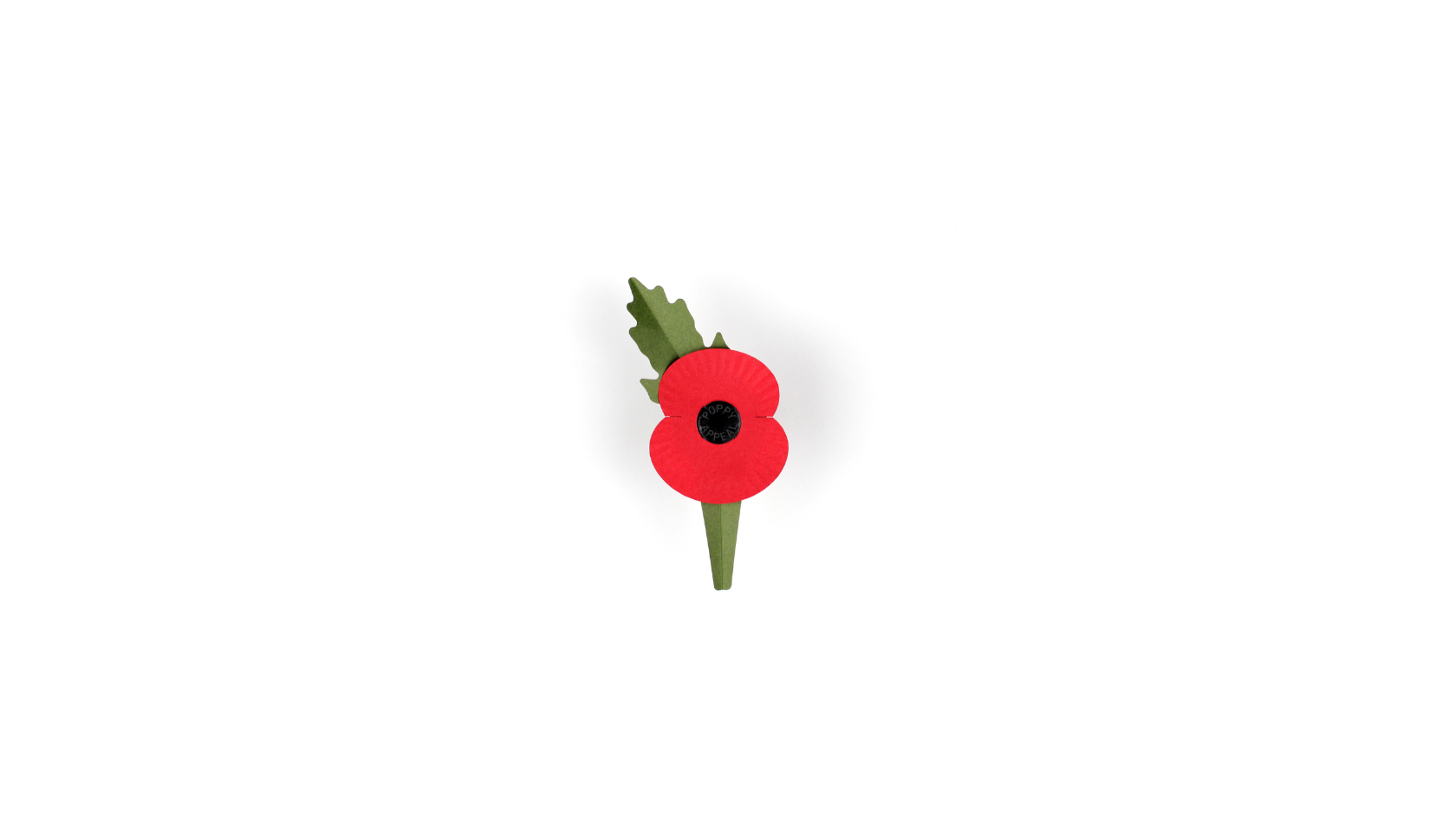 How the Poppy is changing in 2023 - Innovation of the Poppy 
