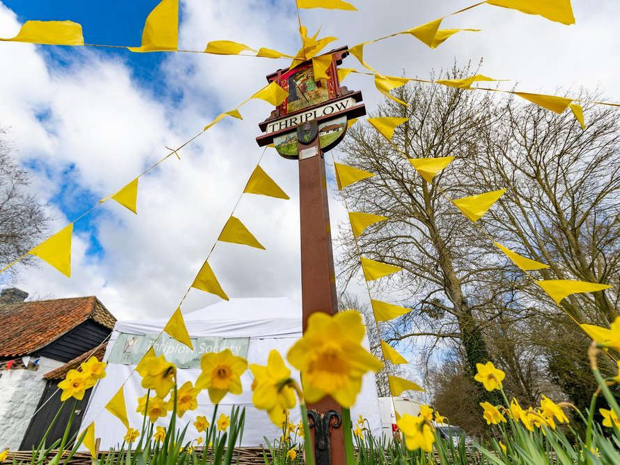 What to know ahead of the Thriplow Daffodil Weekend 