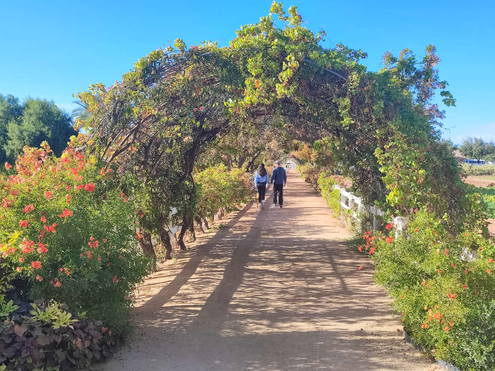 Canyon landscape, Arizona