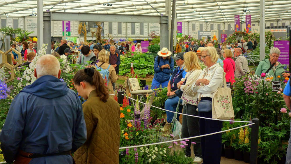 The Chelsea Flower Show in 2024
