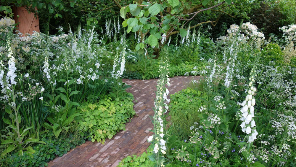The Chelsea Flower Show in 2024