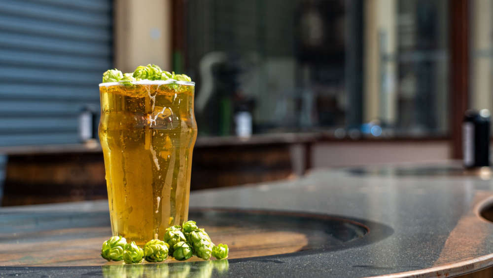 Hops and a beer in a brewery