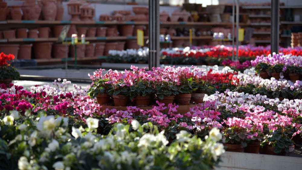 A garden centre.