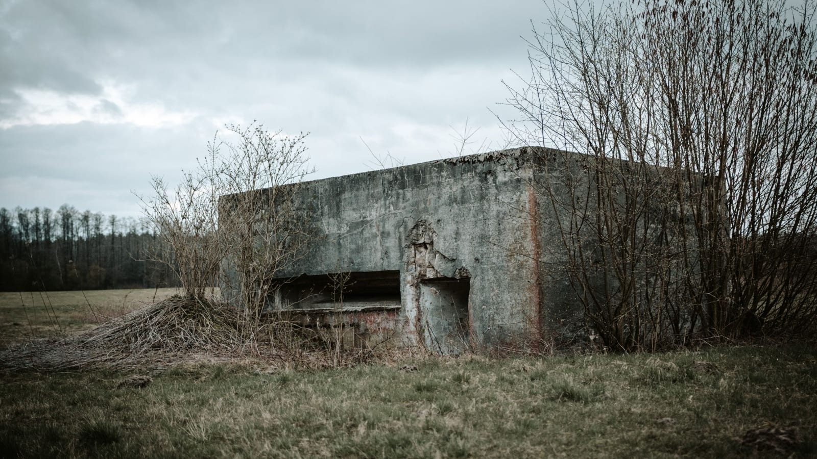 Bunker