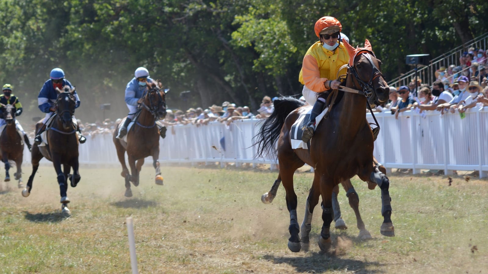 Horse racing