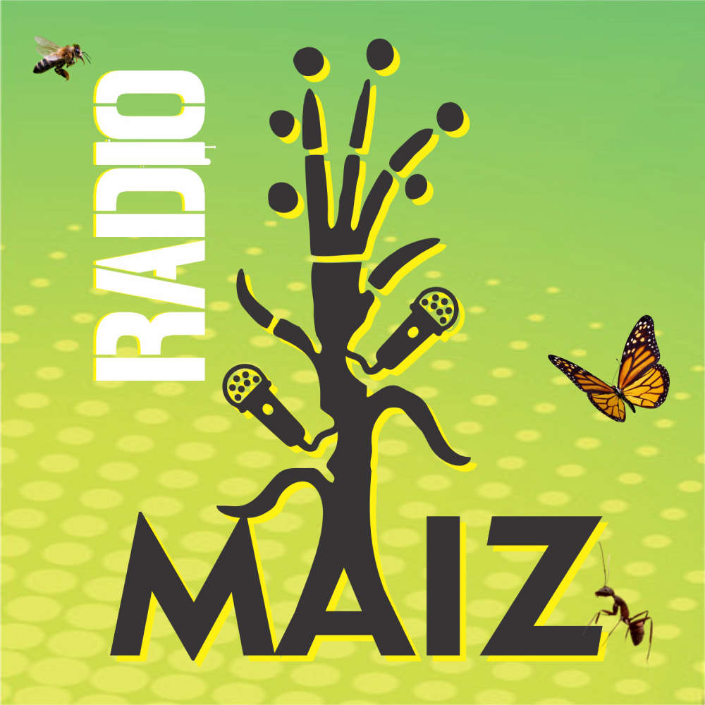 Radio Maíz logo