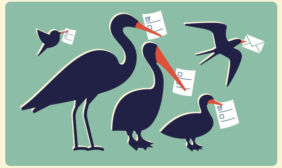 Shorebirds carrying election ballots and a mailed envelope