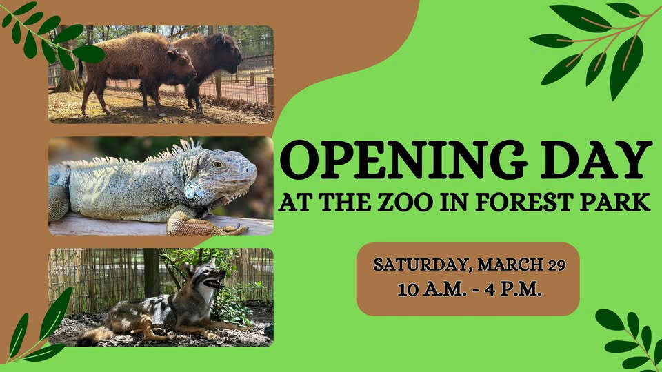 Zoo Opening Day - Springfield, MA - The Q 99.7 WLCQ