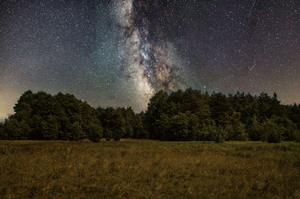 Space and forest