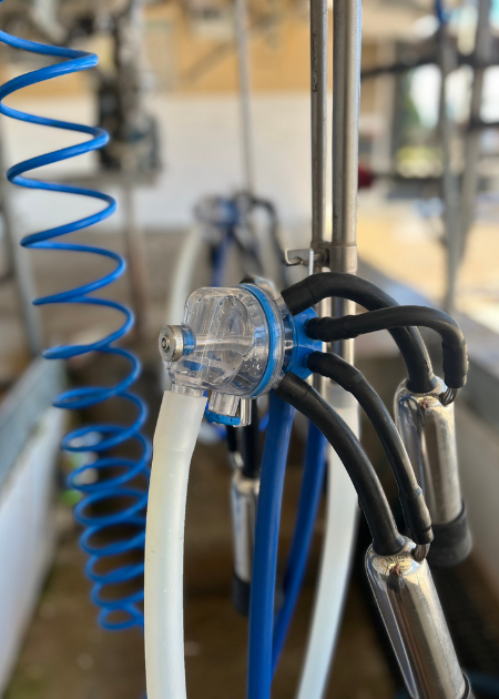 Absolute Dairy & Water