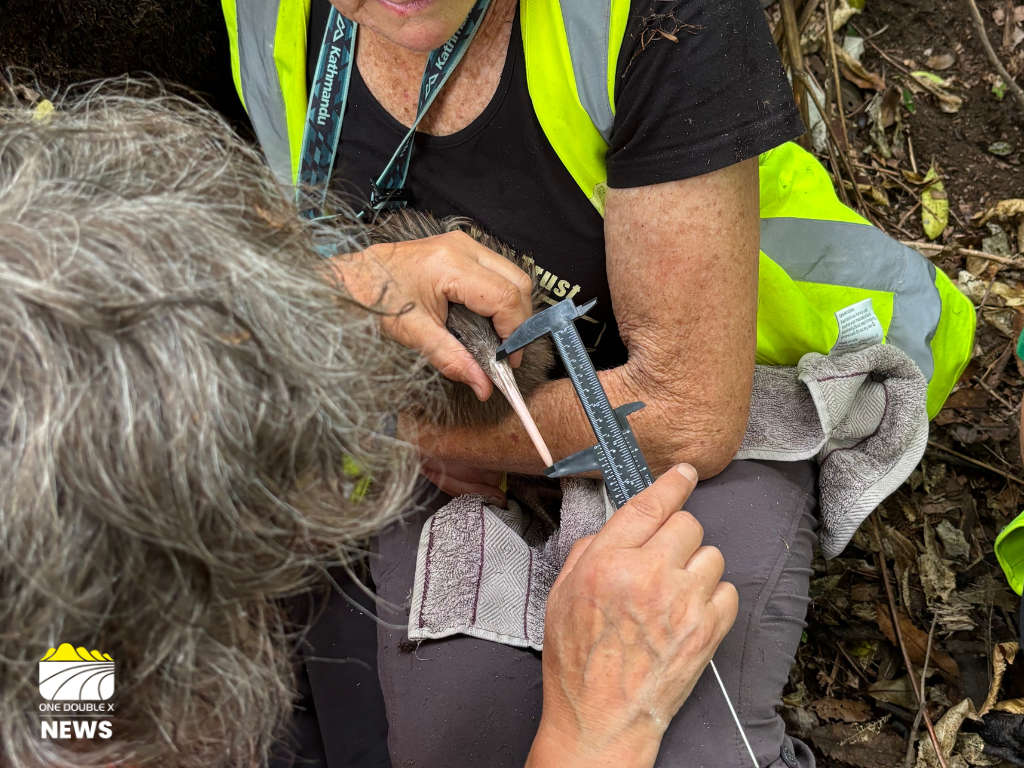 Whakatāne Kiwi Trust