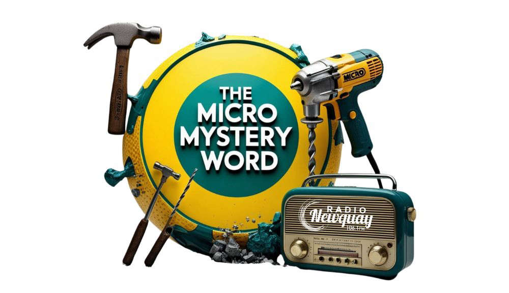 The Micro Mystery Word