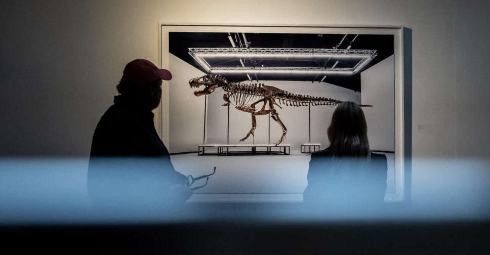 T-Rex skeleton sells for more than $6 mln at Swiss auction