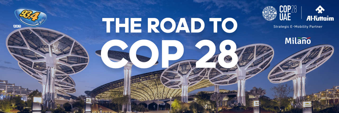 COP 28