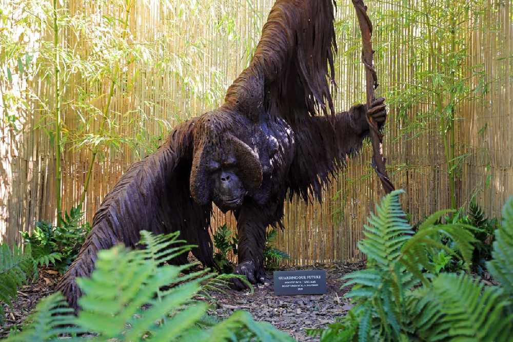 Jersey Zoo, Jersey Zoo, Alan K. Photography