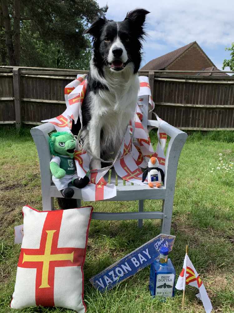 Border Collie called Bear knows all his 52 toys by name and fetches them on  command