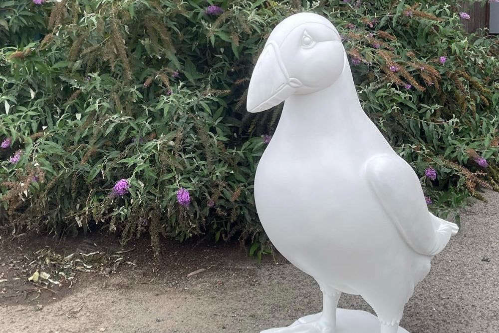 Cooped Up? Photos Of This Puffin Island Will Make You Feel Free