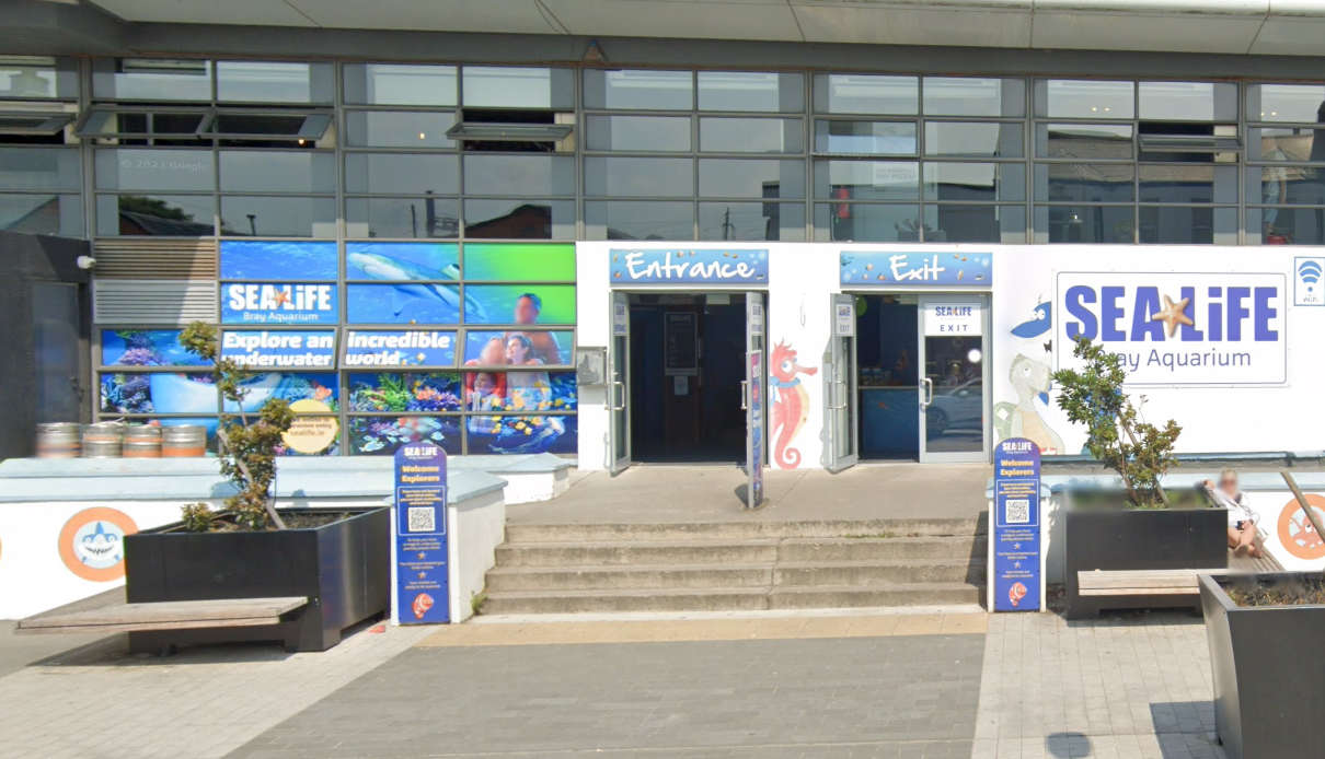 Sea Life on Bray Seafront to close by the end of the year - East Coast FM