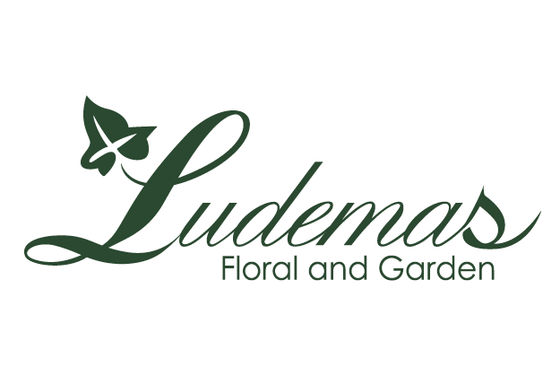 Ludema's Floral and Gifts