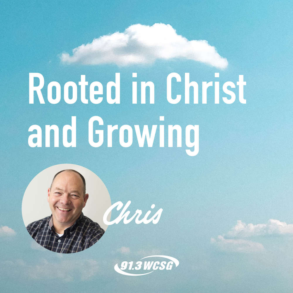 91.3 WCSG Good News Blog, Blue sky background with "Rooted in Christ and Growing" title and a picture of the author, Chris underneath.