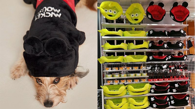 PHOTOS: NEW Disney Cats & Dogs Monorail Pet Toy, Bowls, Accessories,  Leggings, and Matching Raincoat Set Arrives at Walt Disney World - WDW News  Today
