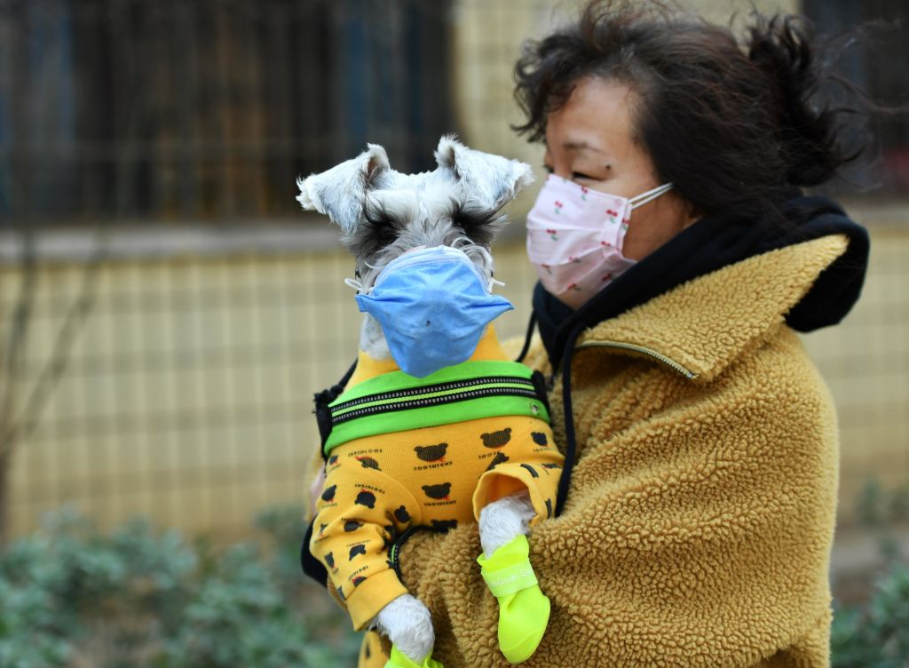 A woman with her pet dog, both wearing face masks, walks on street amid novel coronavirus spread