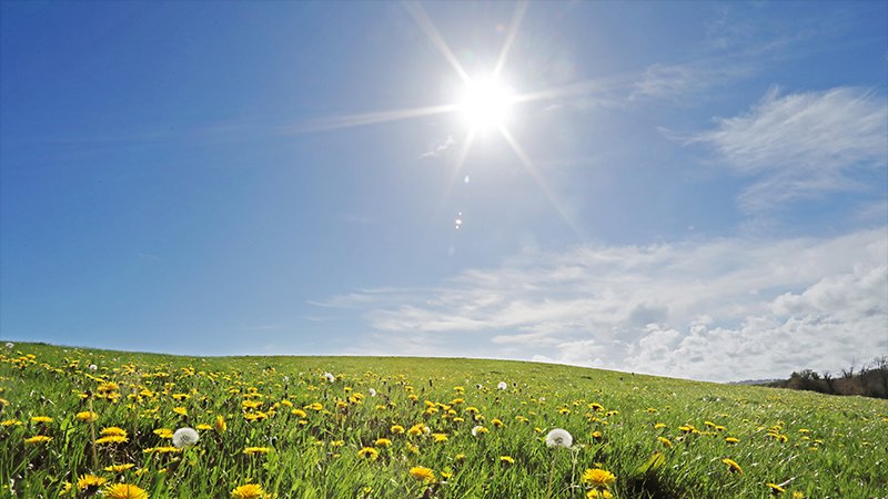 Met Éireann confirming the heatwave in Europe