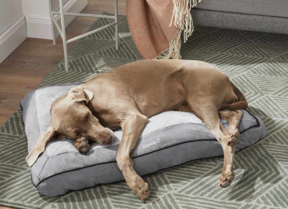 Lidl hotsell dog bed