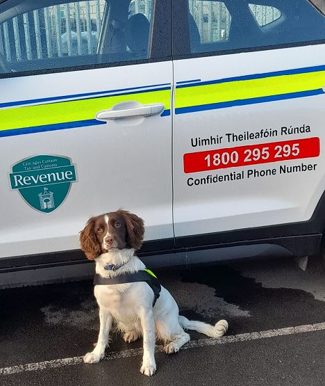 €1.24m in Tobacco Seized at Dublin Port - Dublin's FM104