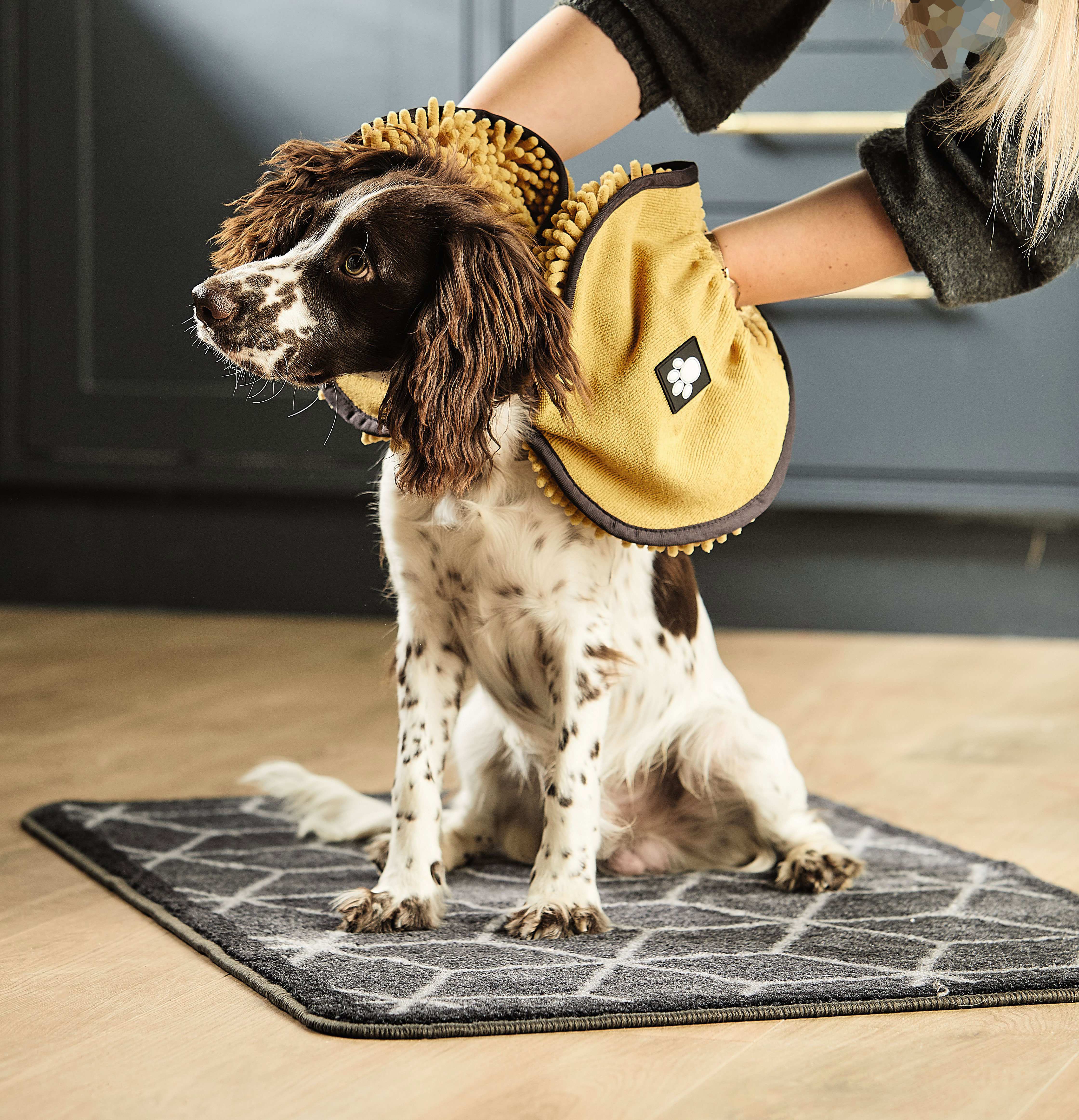 Aldi hotsell dog mat