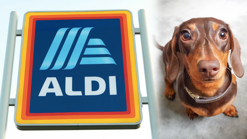 Dog hotsell harness aldi