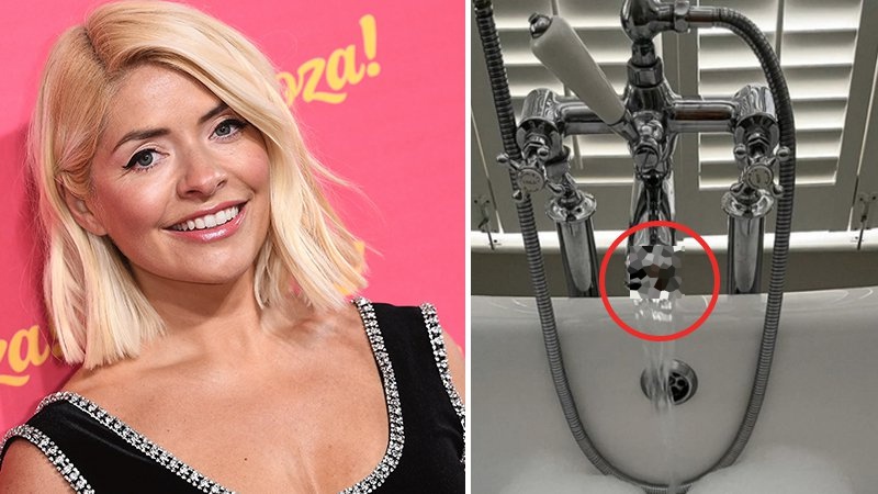 Willoughby leak holly Holly Willoughby: