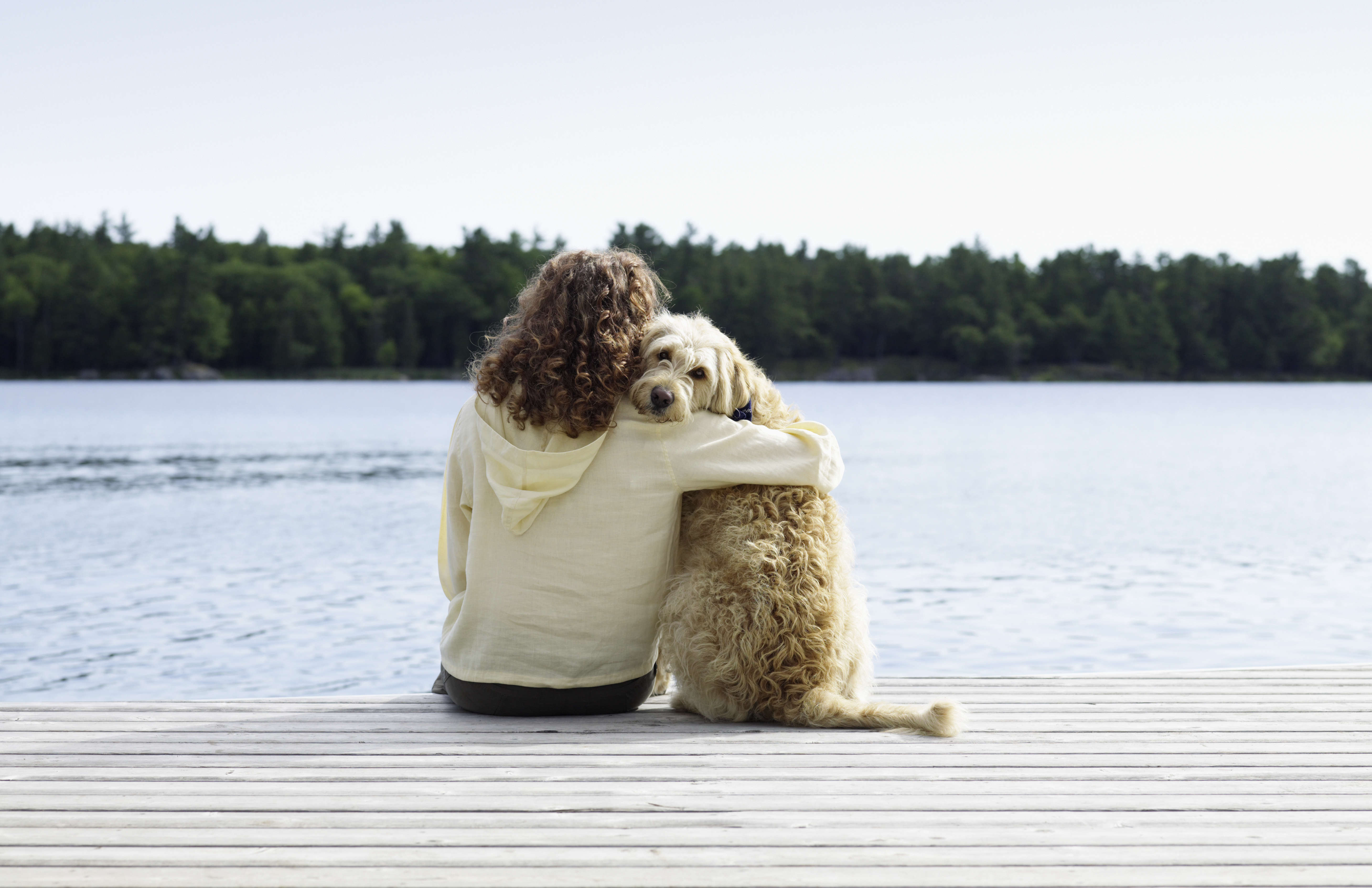 vet-reveals-heartbreaking-thing-pets-do-before-they-are-put-to-sleep-lmfm