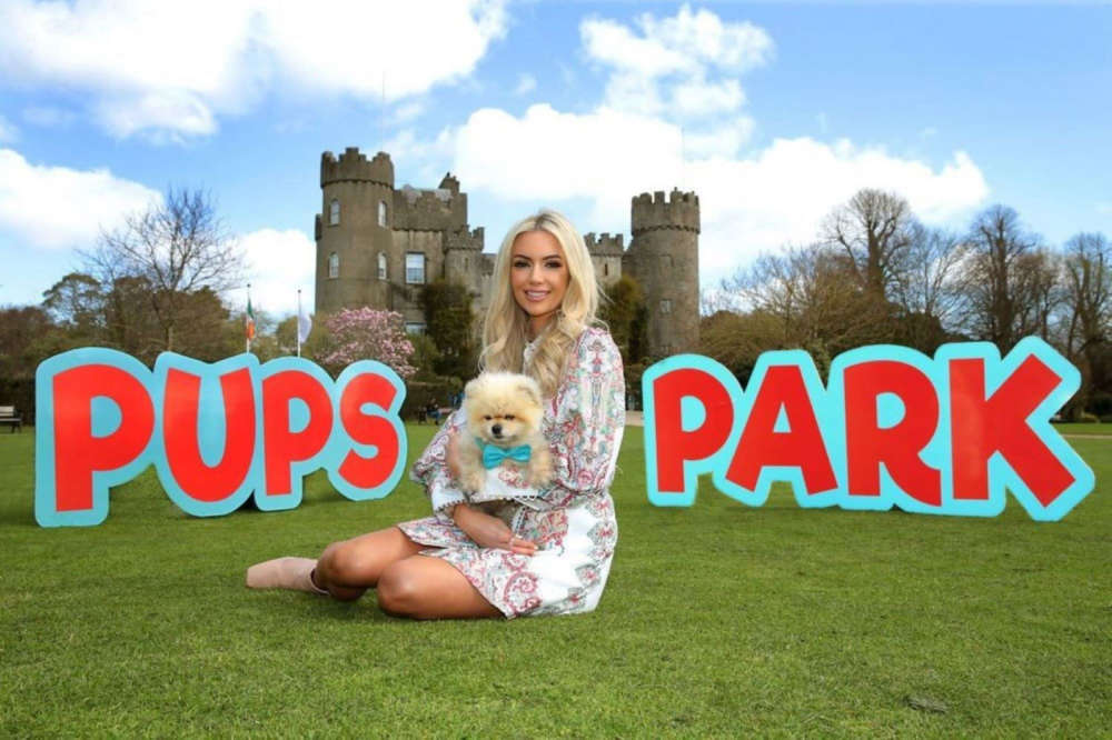 DSPCA Partner With ‘Pups In The Park’ Dublin's FM104