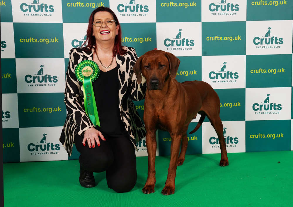 National dog show rhodesian hot sale ridgeback