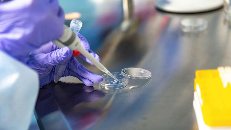 Publicly funded IVF treatment to be launched in September - Dublin's FM104