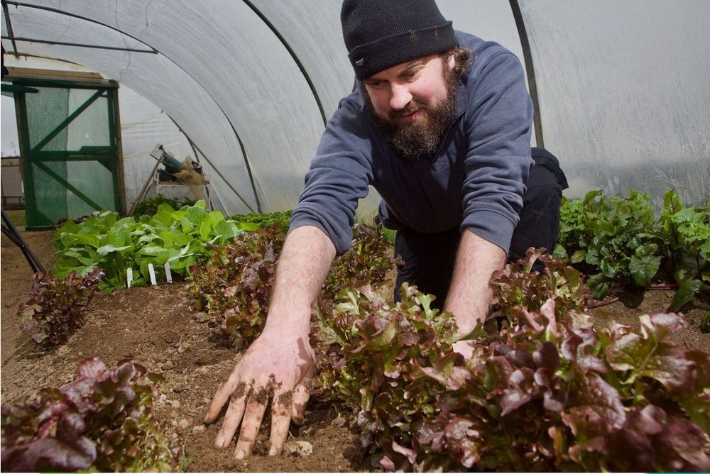 Organic Campus celebrates 35 Years of sustainable horticulture in West Limerick