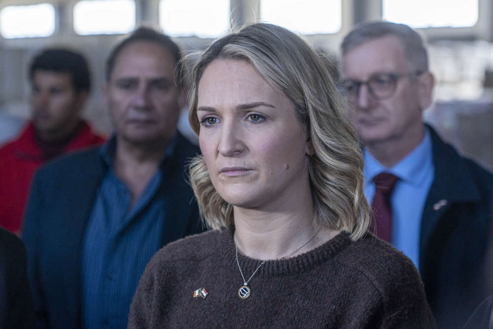 Foreign Affairs Minister Helen McEntee says the focus and purpose of the Board is 'not absolutely clear'